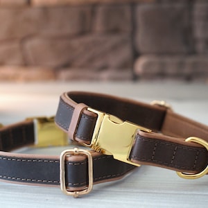 May include: Two brown leather dog collars with gold metal buckles and D-rings. The collars have a tan stitching detail.