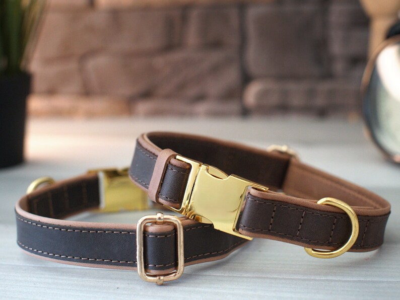 May include: Two brown leather dog collars with gold metal buckles and D-rings. The collars have a tan stitching detail.