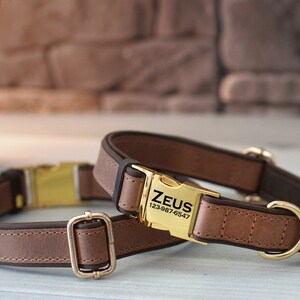 May include: Two brown leather dog collars with gold metal buckles and D-rings. The larger collar has a gold metal tag engraved with "ZEUS 123-987-6547".