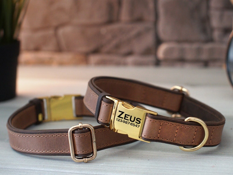 May include: Two brown leather dog collars with gold metal buckles and D-rings. The larger collar has a gold metal tag engraved with "ZEUS 123-987-6547".