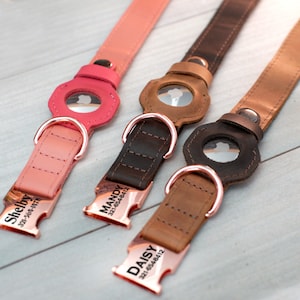 Könnte beinhalten: Drei personalisierte Lederhundehalsbänder mit roségoldenen Beschlägen. Die Halsbänder sind rosa, braun und schwarz. Die Halsbänder haben ein transparentes Fenster für ein Foto und sind mit den Namen "Shelby", "Mandy" und "Daisy" sowie Telefonnummern graviert.