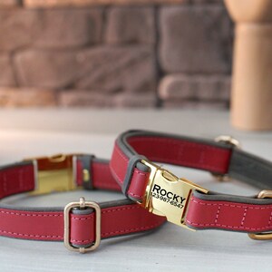 May include: Two red leather dog collars with gold metal buckles. One buckle has the name "Rocky" and phone number "239876547" engraved on it.