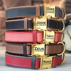 Leather Dog Collar, Personalized Dog Collar, Custom Dog Collar with Name, Engraved Buckle Dog Collars for Small and Large Dogs, Puppy Collar