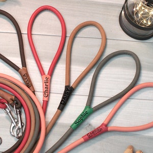 May include: Five leather dog leashes in different colors with personalized names: Bella, Charlie, Daisy, Sophie, and Gabriel. Each leash has a metal clip.