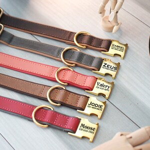 May include: Five leather dog collars with gold metal buckles and engraved name tags. The collars are in different colors, including brown, gray, pink, and red. The name tags include the names "Gabriel", "Zeus", "Valery", "Jodie", and "Moose" with corresponding phone numbers.