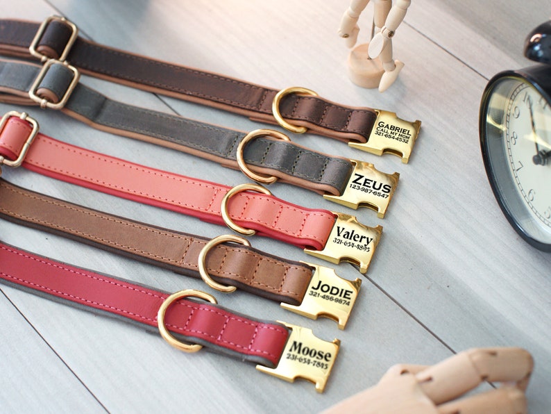 May include: Five leather dog collars with gold metal buckles and engraved name tags. The collars are in different colors, including brown, gray, pink, and red. The name tags include the names "Gabriel", "Zeus", "Valery", "Jodie", and "Moose" with corresponding phone numbers.