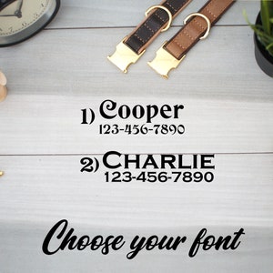 May include: Two leather dog collars with gold hardware and personalized name tags. The tags read "Cooper 123-456-7890" and "CHARLIE 123-456-7890". The text "Choose your font" is also visible.