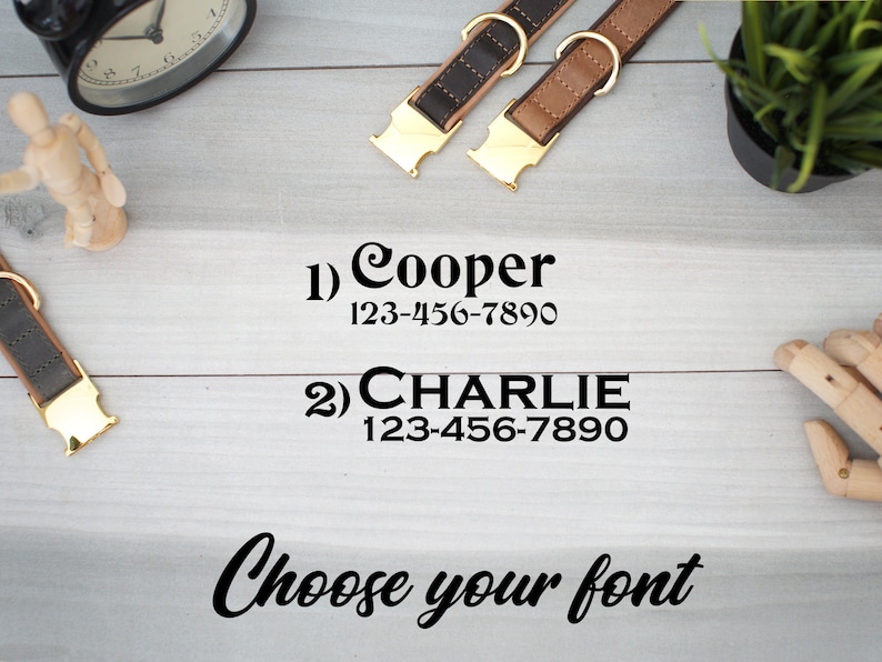May include: Two leather dog collars with gold hardware and personalized name tags. The tags read "Cooper 123-456-7890" and "CHARLIE 123-456-7890". The text "Choose your font" is also visible.