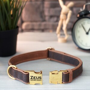 May include: Brown leather dog collar with a gold buckle and a gold nameplate that reads "ZEUS 123-987-6547".