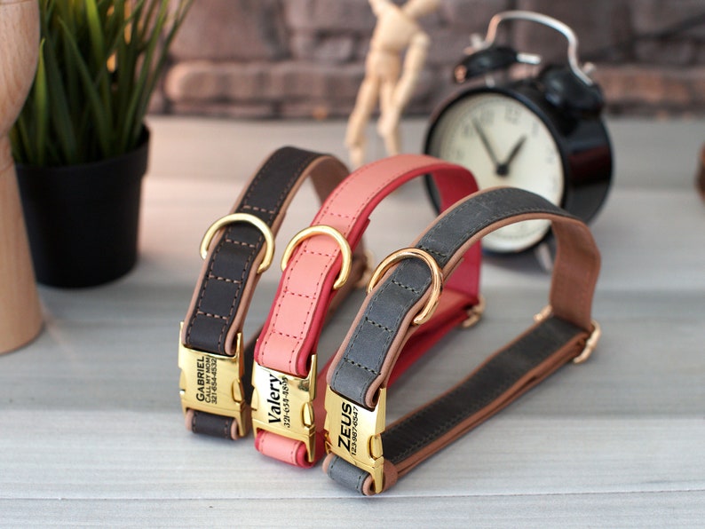 May include: Three leather dog collars with gold buckles and personalized name tags. The collars are brown, pink, and gray. The name tags read "Gabriel", "Valery", and "Zeus".