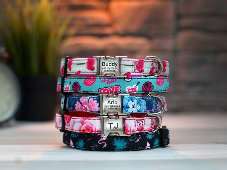 Floral Cat Collar with Engraved Buckle Customized Cat Collar Etsy