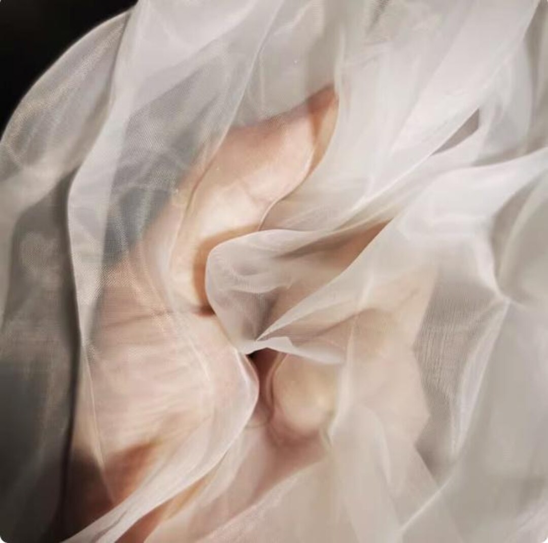 Structured Accordion Pleat Organza, Dense Crinkle Couture Textile ...