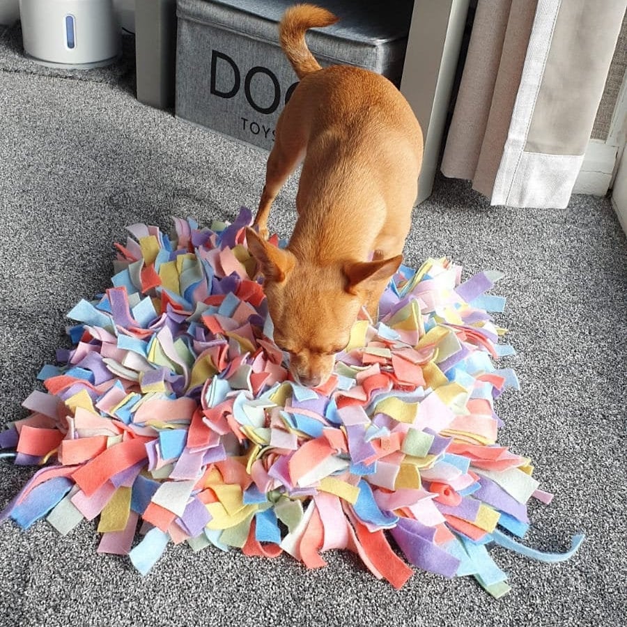 Spring Enrichment Snuffle Mat UK only Etsy