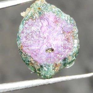 以下が含まれることがあります： 鮮やかな多色使いの外観を持つ、未加工の宝石。 中心部は、緑色の帯と質感のある土のような外観に囲まれた、豊かな紫がかったピンク色を示しています。 石は銀色のピンセットで保持されています。
