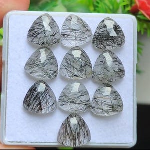 以下が含まれることがあります： 9つの三角形の宝石のコレクション。各透明な石は、ユニークなパターンを作成する黒い針状のインクルージョンを備えています。宝石は白いトレイに表示され、研磨された表面と内部の詳細が示されています。