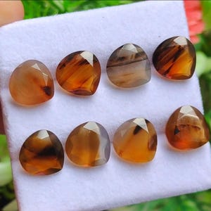 May include: Eight triangular gemstones with faceted surfaces, in shades of brown, amber, and grey, are presented on a white surface. The gemstones have a polished, reflective appearance, arranged in two rows of four.