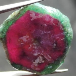 Op de afbeelding: Een ruwe edelsteen met een levendig kleurenpatroon. Het midden is dieprood, omgeven door een groene band en een ruwe, getextureerde buitenkant. De edelsteen wordt vastgehouden door een pincet.