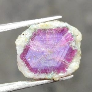 May include: A rough gemstone with a hexagonal pattern in pink and purple hues. The gem is held by silver tweezers, highlighting its natural, unpolished appearance and crystalline structure. The stone is set in a white, textured matrix.