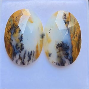 Puede incluir: Dos piedras preciosas ovaladas y facetadas con una base de color blanco lechoso y prominentes inclusiones dendríticas de color amarillo dorado y marrón oscuro que se asemejan a patrones de helechos con una superficie pulida.