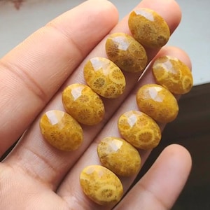 Peut inclure: Dix cabochons ovales en corail fossilisé, dans des tons de jaune et de brun. Les cabochons présentent un motif unique et complexe de corail fossilisé.