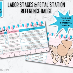 Aide-mémoire pour le badge de la station fœtale sur les étapes du travail - Soins infirmiers - Carte d'identité - Badge Buddies - Employé - Travail et accouchement - Nursery - OB