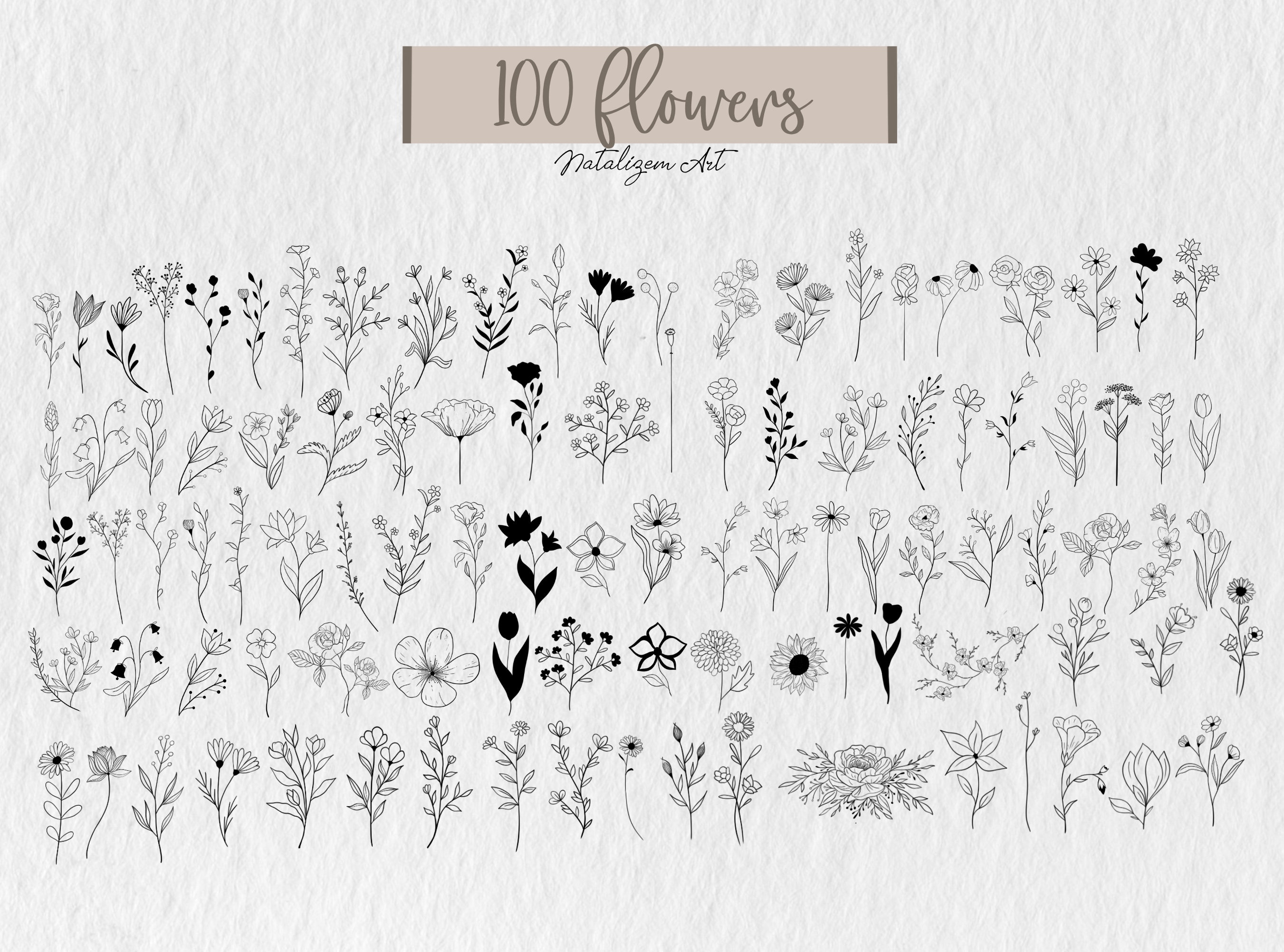 400 Botanical Svg Bundle Floral Svg Flower Svg Botanical - Etsy