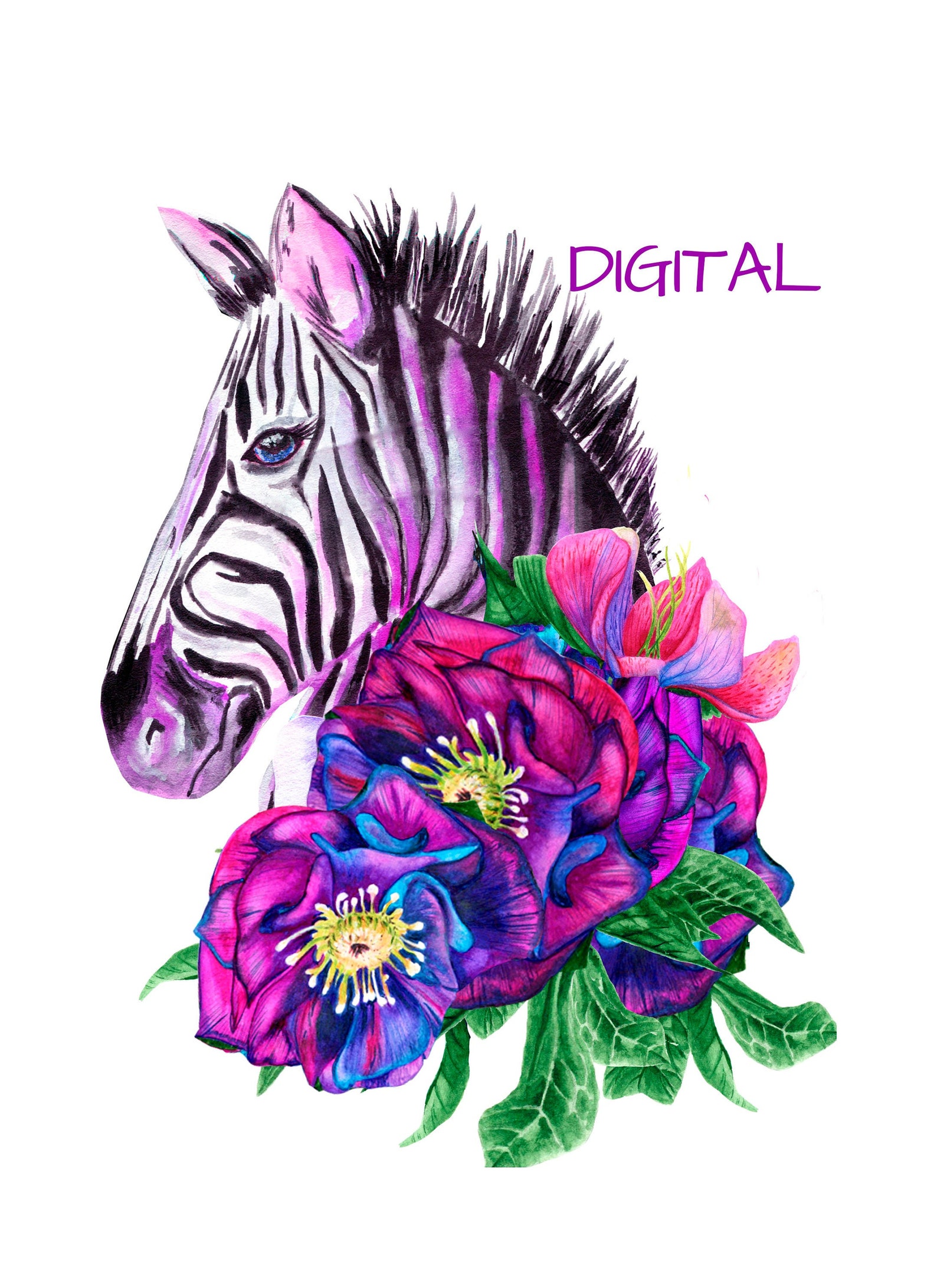 Zebra and Flowers Cards Digital wall art PDF Baby Zebra Etsy