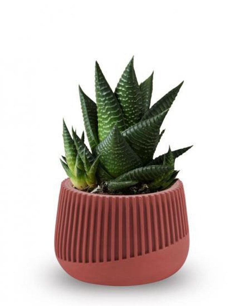 Vienna Silicone Mold VSK1 Concrete flower pot mould, Silicone mo Vienna Silicone Mold VSK1 Concrete flower pot mould, Silicone mo