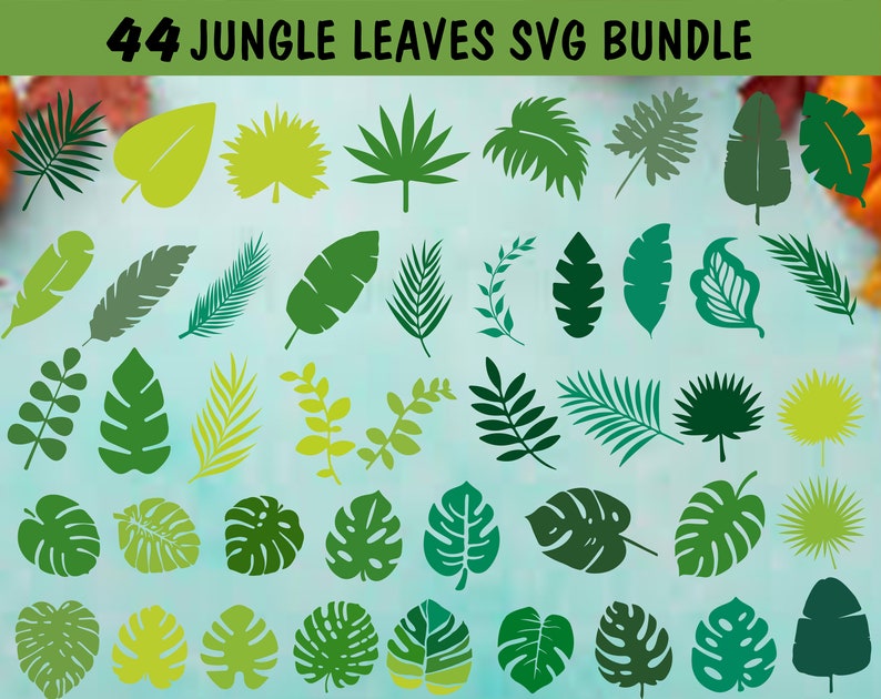 Download Jungle Leaves Svg Cut File Clipart Jungle Leaves Svg Png Dxf Cricut Svg Files For Silhouette Clipart Jungle Leaves Leaf Svg Png Bundle Clip Art Art Collectibles