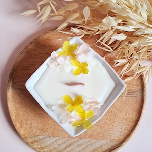 Natural Scented and Floral Candle | MONOÏ | Soy Wax | Dried Flowers | Grasse Fragrance