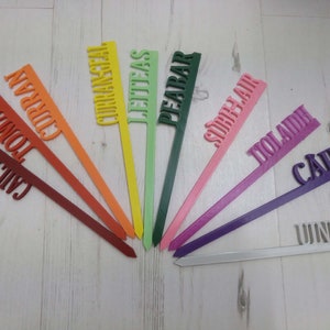 May include: A selection of brightly coloured plant markers, each with a different plant name in a decorative font. The markers are in shades of red, orange, yellow, green, pink, and purple. They are arranged on a light wooden surface.