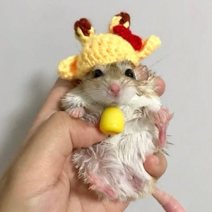 Può includere: Un piccolo gerbillo bianco che indossa un cappello di giraffa di lana giallo e rosso. Il gerbillo tiene un perlino giallo tra le zampe.