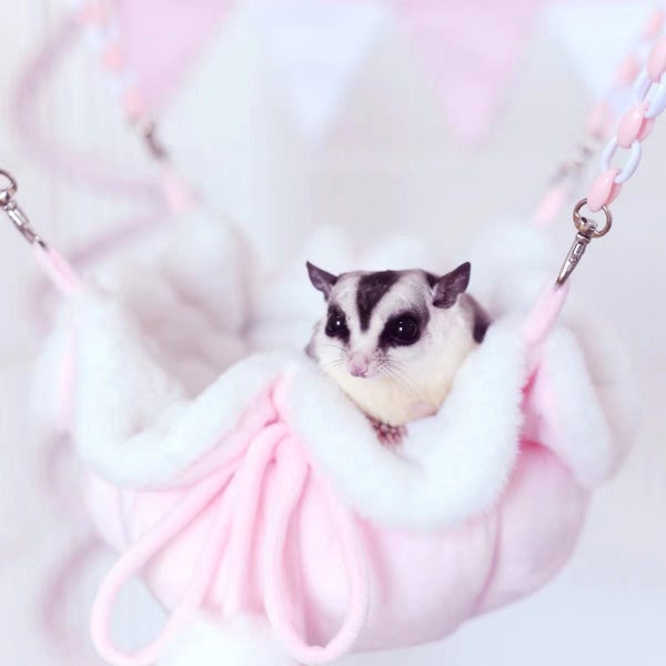 Adjustable winter pumpkin hammock Rat/Sugar glider/Fancy Rat/Squirrels/small animals warm soft cozy sleeping bed house nest pet gifts