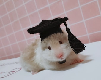 Bachelor/PHD/Graduation Cap Pet Hat Gifts-Hedgehog/Parrot/Hamster/Squirrel/GuineaPig/Rat/Chinchilla/Ferret/Bunny/SugarGlider/Leopard Gecko