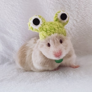 Green Big Eyes Frog Pet Hat Gifts- Hedgehog/Hamster/Squirrel/Parrot/Guinea Pig/Rat/Chinchilla/Ferret/Sugar Glider/Rabbit/Leopard gecko/Quail