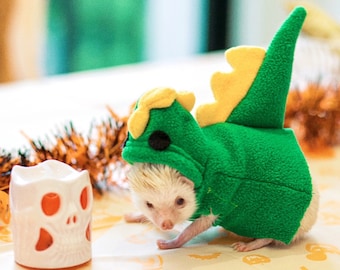 Handgemaakte dinosauruskostuumkleding voor huisdieren Het beste voor egel