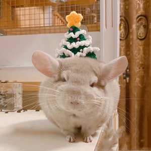Sapin de Noël vert fait main chapeau-hérisson/hamster/écureuil/cobaye/rat/chinchilla/furet/lapin/planeur de sucre/oiseau/gecko léopard/caille