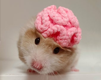 Brain Pet Hat Gifts- Hedgehog/Hamster/Squirrel/Guinea Pig/Rat/Chinchilla/Ferret/SugarGlider/Rabbit/Leopard gecko/Quail/Duck/Ball Python/Bird