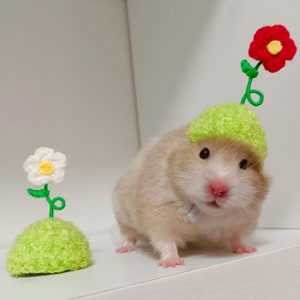 Handmade Flower Pet Hat- Hedgehog/Hamster/Squirrel/Parrot/Guinea Pig/Rat/Chinchilla/Ferret/Sugar Glider/Rabbit/Leopard gecko/Quail