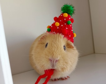 Weihnachtsbaum-Haustierhut-Geschenke - Igel/Hamster/Eichhörnchen/Meerschweinchen/Ratte/Chinchilla/Frettchen/Hase/Papagei/SugarGlider/Vogel/LeopardGecko/Wachtel/Ente