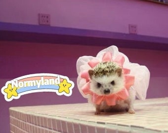 Handmade Pet Pink Skirt Clothes Best for Hedgehog