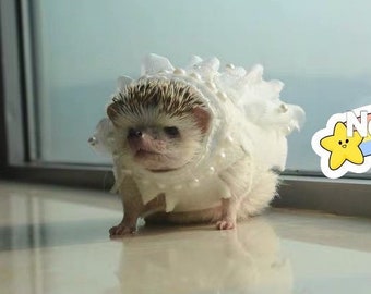 Handmade Dress Pet Clothes Best for Hedgehog