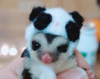 Panda Pet Hat Gifts-Hedgehog/Hamster/Squirrel/Guinea Pig/Rat/Chinchilla/Parrot/Ferret/SugarGlider/Rabbit/Leopard gecko/Quail/Bird/BallPython