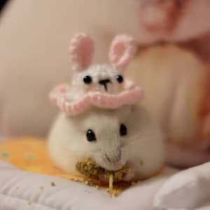 Handmade Pet Hat Bunny Hat-Best for Hedgehog/Parrot/Hamster/Squirrel/Guinea Pig/Rat/Chinchilla/Ferret/Leopard Gecko/Sugar Glider/Bird/Quail