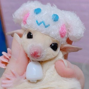 Könnte beinhalten: Ein kleiner weißer Zuckergleiter, der einen weißen, flauschigen Hut mit rosa und blauen Akzenten trägt. Der Hut hat ein Comic-Gesicht mit einer blauen Nase, rosa Wangen und einem blau-weißen Lächeln.