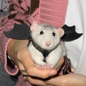 Rat Harness Etsy UK