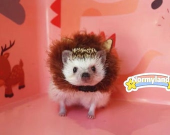 Handmade Pet Lion Costume Best for Hedgehog etc.