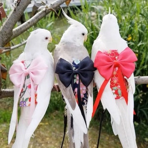 Handmade Parrot Bird Clothes with Diaper Kimono-Quakers/Cockatiel-1