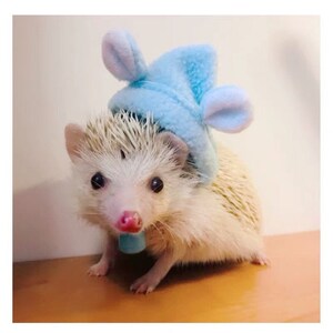 Mouse Pet Hat Gifts Small Animals Hat - Best for Hedgehog/Hamster/Squirrel/Guinea Pig/Rat/Chinchilla/Ferret/Sugar Glider