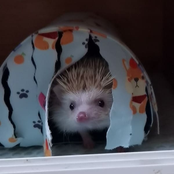 Handmade Waterproof Pet Tunnel/Hideout/House/Sleeping bed/Hedgehog/Hamster/Rat/Chinchilla/Sugar Glider/Squirrel/Guines pig/Rabbit/Ferret